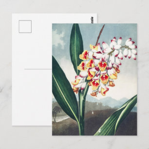 Carte Postale Décor floral exotique blanc jaune de style Régence