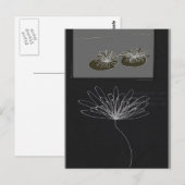Carte Postale décor subconscient (Devant / Derrière)