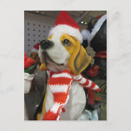 Carte Postale Décoration de la peau (Devant)