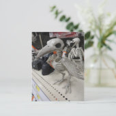 Carte Postale Décoration du squelette d'oiseaux (Debout devant)