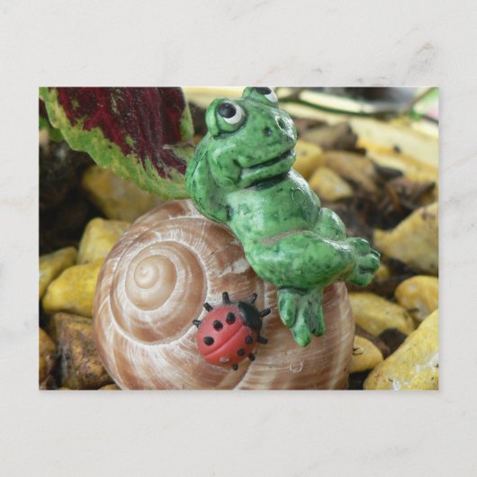 Carte Postale décoration enchanteresse FROG (Devant)