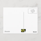 Carte Postale Décorations de stalles de maïs séché (Dos)