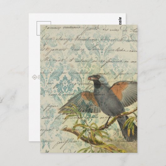 Carte postale Découpage Ephémère Oiseau vintage (Devant / Derrière)