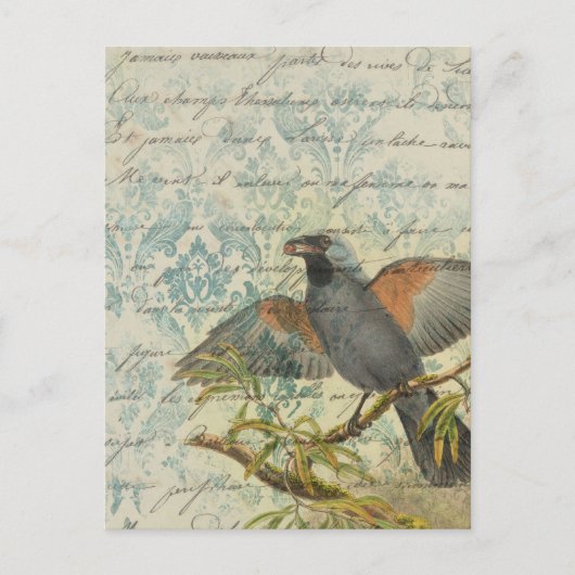 Carte postale Découpage Ephémère Oiseau vintage (Devant)