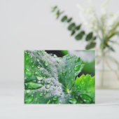 Carte Postale Découpe gouttelettes d'eau (Debout devant)