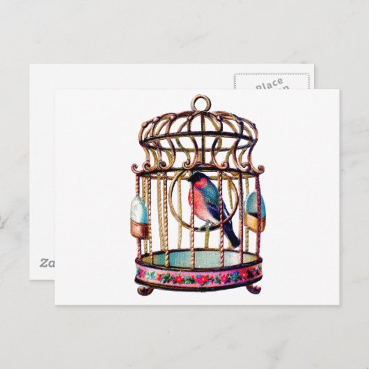 Carte Postale Découpe victorienne Découpe découpe Cage d'oiseaux (Devant / Derrière)