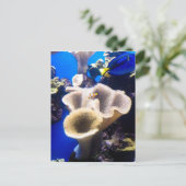 Carte Postale découverte de nemo (Debout devant)