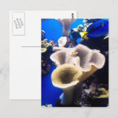 Carte Postale découverte de nemo (Devant / Derrière)