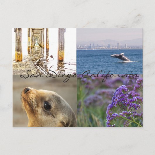 Carte Postale Découvrez San Diego (Devant)