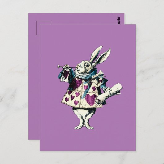 Carte Postale Décret Orchidée White Rabbit (Devant / Derrière)