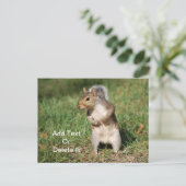 Carte postale d'écureuil gris-oriental (Debout devant)