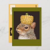 carte postale d'écureuil haché de maïs et de pois (Devant / Derrière)