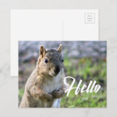 carte postale d'écureuil mignon- bonjour/salut/sal (Devant / Derrière)