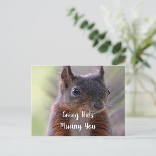 Carte postale d'écureuil noisette (Debout devant)