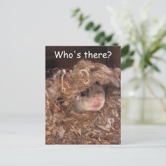 Carte postale d'écureuil volant (Debout devant)