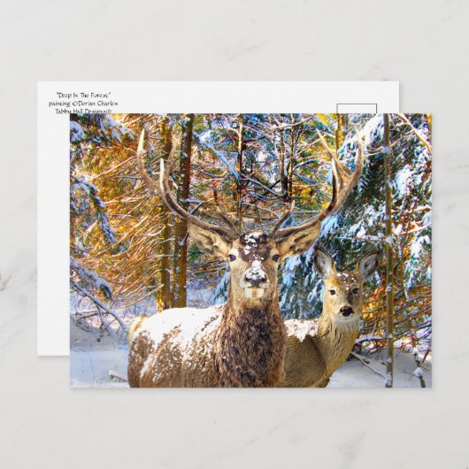 Carte Postale "Deep In The Forest" (Devant / Derrière)