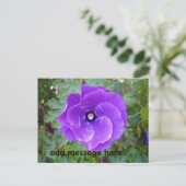 Carte Postale Deep Purple Hibiscus Flower (Debout devant)