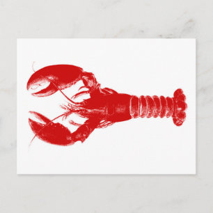 Carte Postale Deep Red Lobster on White