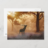 Carte Postale Deer Antler Meadow (Devant / Derrière)