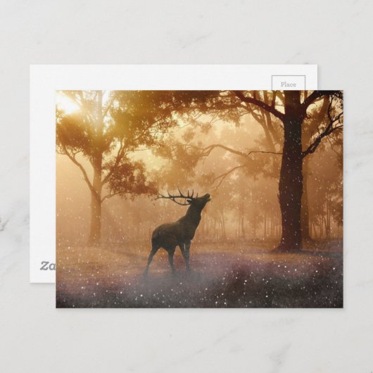 Carte Postale Deer Antler Meadow (Devant / Derrière)