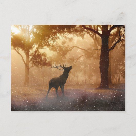 Carte Postale Deer Antler Meadow (Devant)