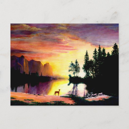 Carte Postale Deer at Dawn Photo Print (Devant)