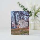 Carte Postale Deer debout près d'un versant (Debout devant)