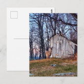 Carte Postale Deer debout près d'un versant (Devant / Derrière)