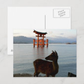 Carte Postale Deer et Big Red Gate à Miyajima au Japon (Devant / Derrière)