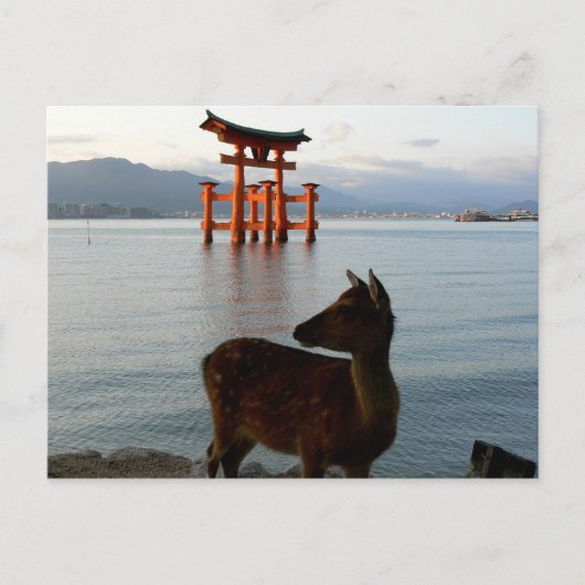 Carte Postale Deer et Big Red Gate à Miyajima au Japon (Devant)