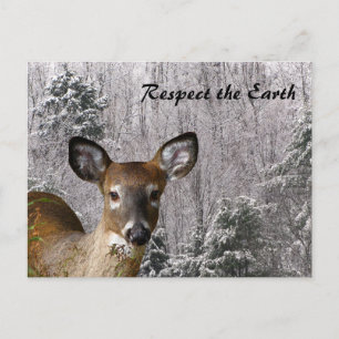 Carte Postale Deer et Frosty Hills