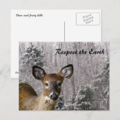 Carte Postale Deer et Frosty Hills (Devant / Derrière)