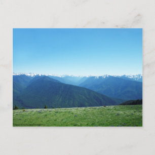 Carte Postale Deer et les Jeux Olympiques