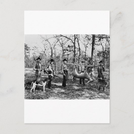 Carte Postale Deer Hunter, 1922 (Devant)