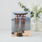 Carte Postale deer miyajima (Debout devant)