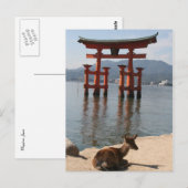 Carte Postale deer miyajima (Devant / Derrière)