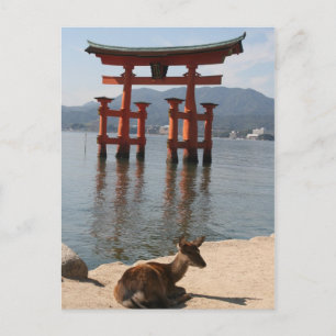 Carte Postale deer miyajima