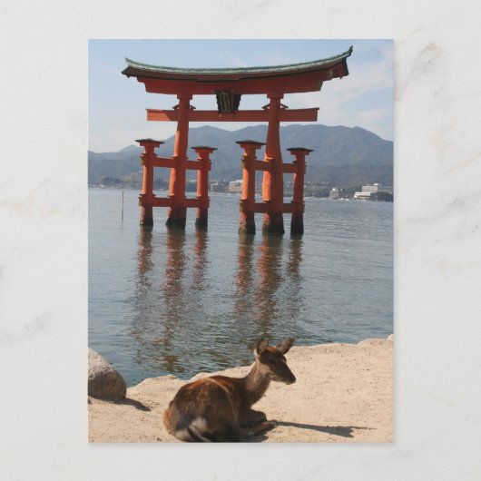 Carte Postale deer miyajima (Devant)