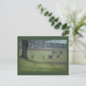 Carte postale Deer Photo (Debout devant)