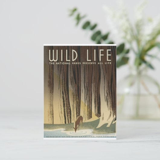 Carte Postale Deer & Stream (Debout devant)