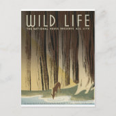 Carte Postale Deer & Stream (Devant)