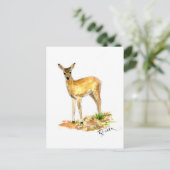 Carte postale Deer Wildlife (Debout devant)