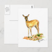 Carte postale Deer Wildlife (Devant / Derrière)