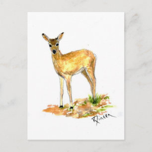Carte postale Deer Wildlife