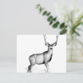 Carte Postale deergif masculin (Debout devant)