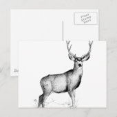 Carte Postale deergif masculin (Devant / Derrière)