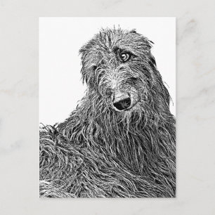 Carte Postale Deerhound écossais Noir et Blanc