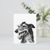 Carte Postale Deerhound noir et blanc | Cute Hound (Debout devant)