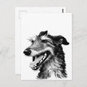 Carte Postale Deerhound noir et blanc | Cute Hound (Devant / Derrière)