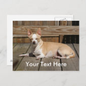 Carte Postale Déesse de Sun (Devant / Derrière)